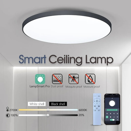 LumiHome Smart Ceiling Lamp