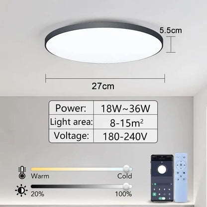 LumiHome Smart Ceiling Lamp